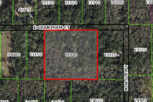 6464 E Grantham Ct, Hernando, FL 34442 - photo 20