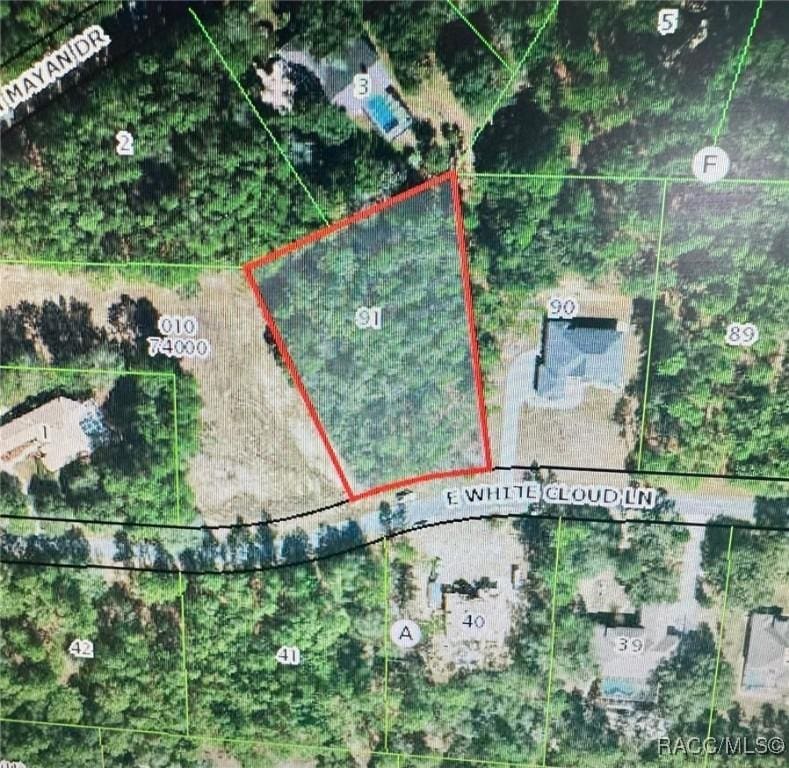 765 E Whitecloud Ln, Hernando, FL 34442 - photo 1