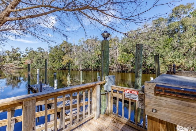 dock area with a water view