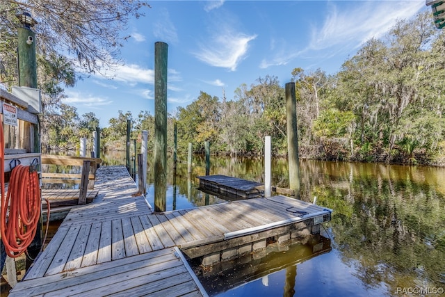 dock area with a water view