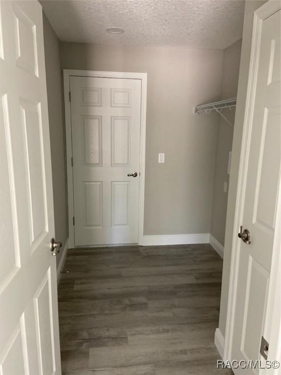 walk in closet featuring dark wood-type flooring