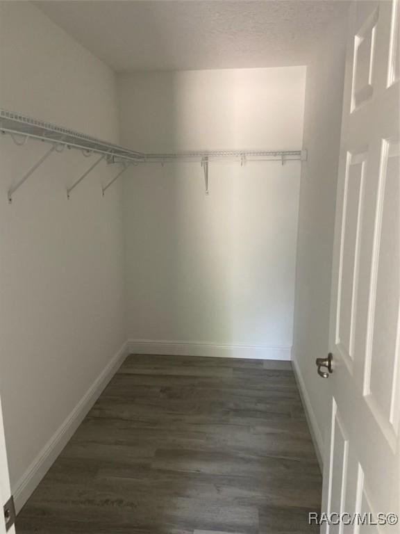 spacious closet featuring dark hardwood / wood-style flooring