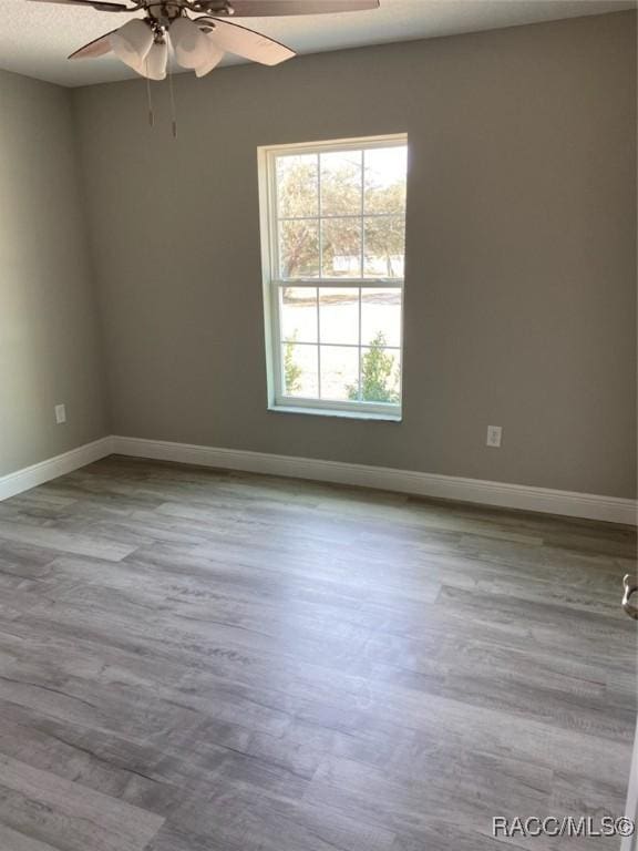 empty room featuring light hardwood / wood-style floors and ceiling fan