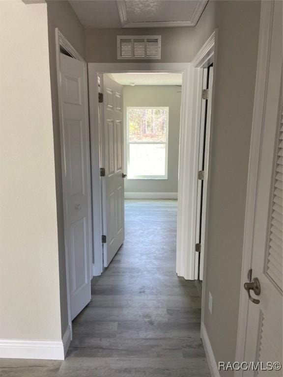 hallway featuring dark wood-type flooring