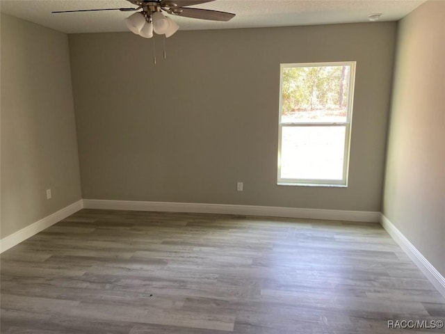 empty room with plenty of natural light, light hardwood / wood-style floors, and a textured ceiling