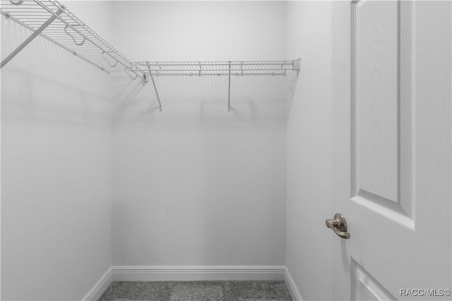 9826 N Stafford Dr, Citrus Springs, FL 34433 - photo 18