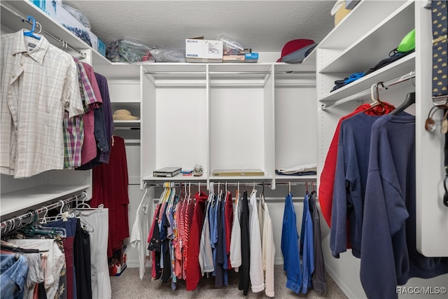 spacious closet featuring carpet flooring