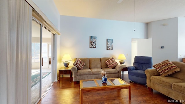 living room with dark wood-type flooring