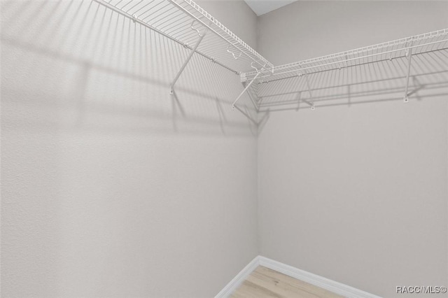 walk in closet with hardwood / wood-style flooring