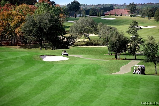 view of community featuring a lawn