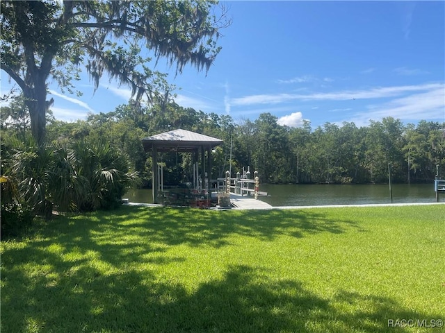 47 Magnolia Ave, Yankeetown, FL 34498 - photo 2
