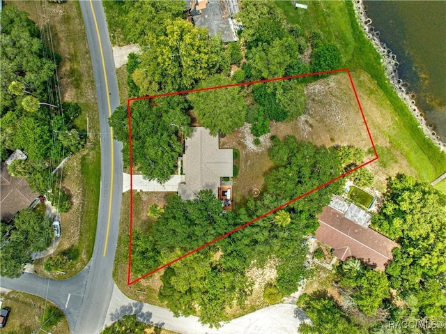 519 Spring Lake Rd, Ocala, FL 34472 - photo 11