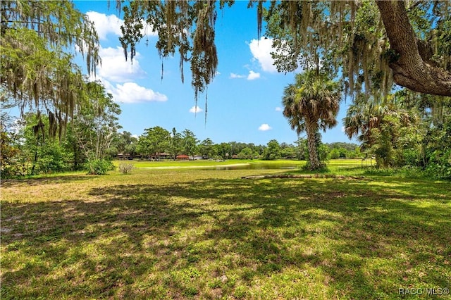 519 Spring Lake Rd, Ocala, FL 34472 - photo 6