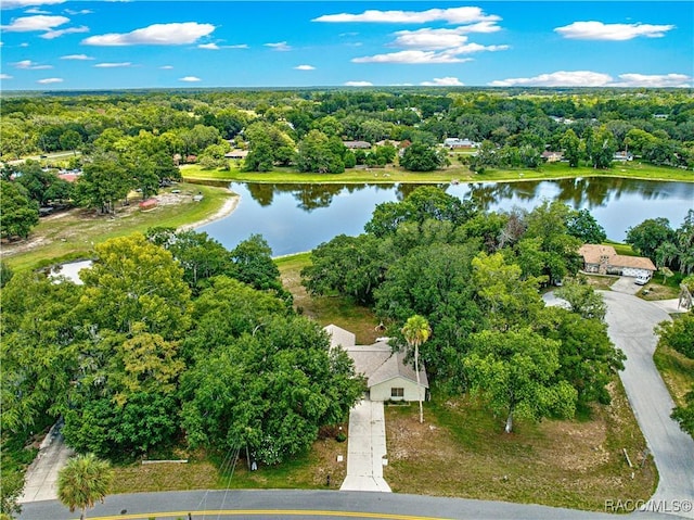 519 Spring Lake Rd, Ocala, FL 34472 - photo 9