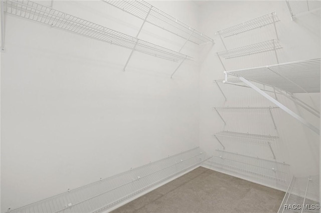 view of spacious closet