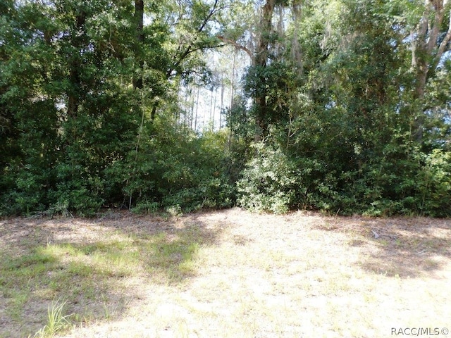 Listing photo 3 for 796 W Lightwood St, Dunnellon FL 34434