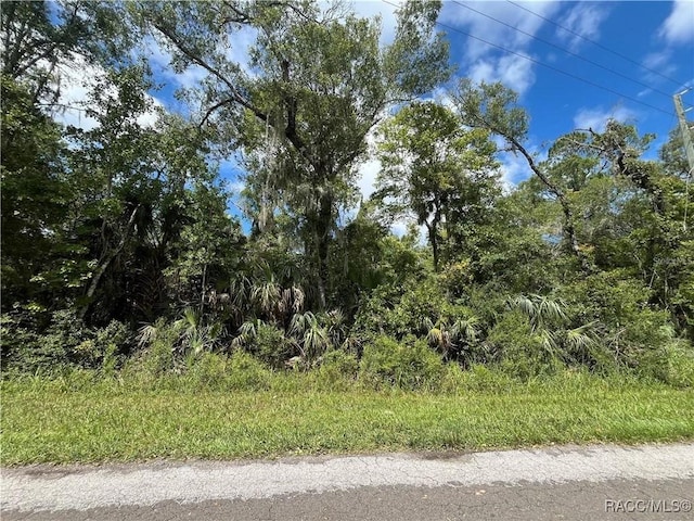 8637 N Bellflower Way, Crystal River FL, 34428 land for sale