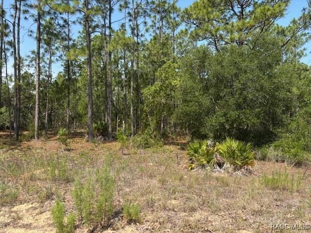 5724 N Durango Ter, Beverly Hills, FL 34465 - photo 4