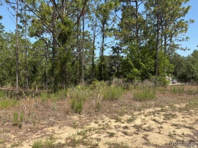 5724 N Durango Ter, Beverly Hills, FL 34465 - photo 7