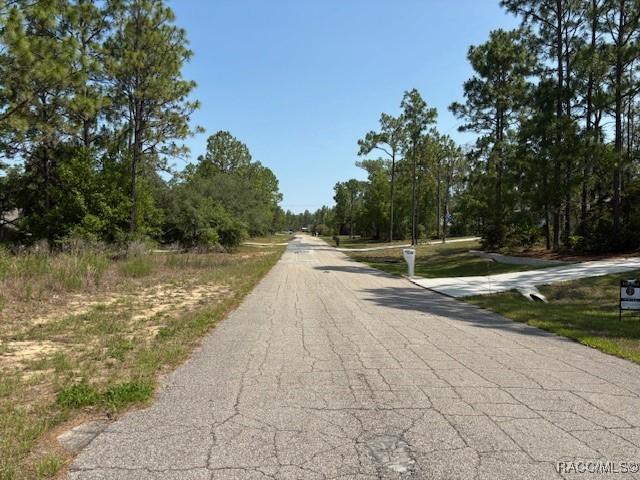 5724 N Durango Ter, Beverly Hills, FL 34465 - photo 9