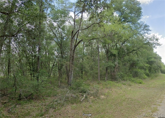 719 E Byrd Loop, Dunnellon FL, 34434 land for sale