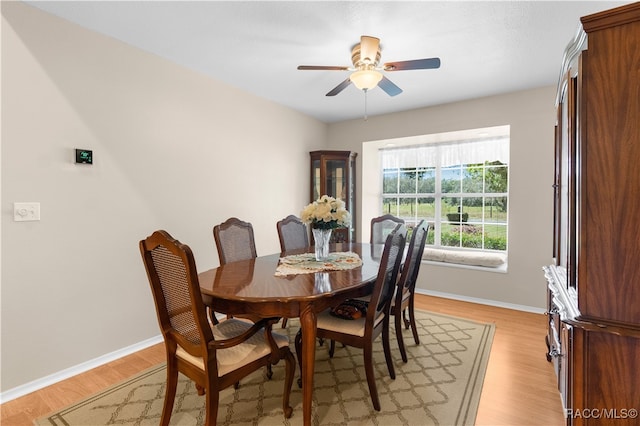 dining room featuring ceiling fan and light hardwood / wood-style flooring