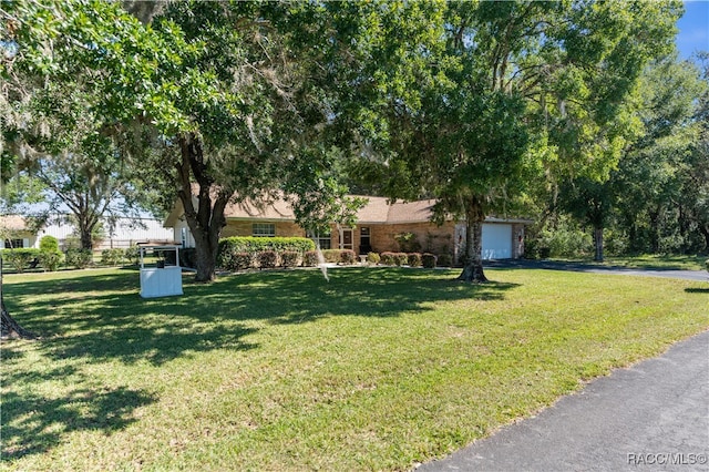 view of yard featuring a garage