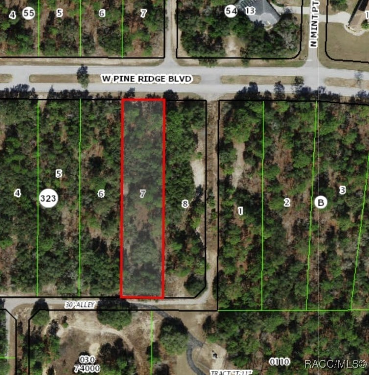 3064 W Pine Ridge Blvd, Beverly Hills, FL 34465 - photo 2