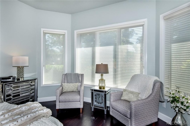 bedroom featuring dark wood-type flooring