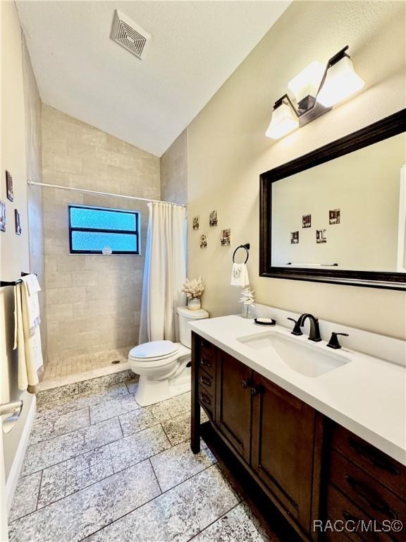 bathroom with toilet, vanity, lofted ceiling, and a shower with curtain