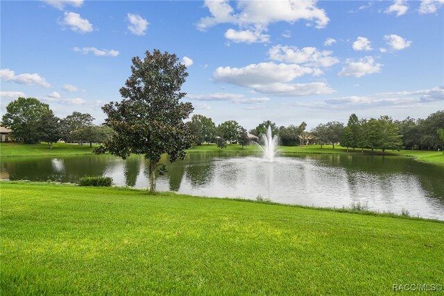 1049 W Lake Valley Ct, Hernando, FL 34442 - water view
