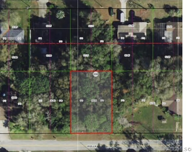 110 Iris Ln, Inverness FL, 34452 land for sale