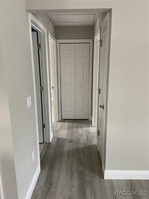 corridor with dark wood-type flooring