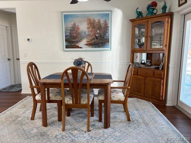 dining room featuring a healthy amount of sunlight, dark hardwood / wood-style floors, and ceiling fan