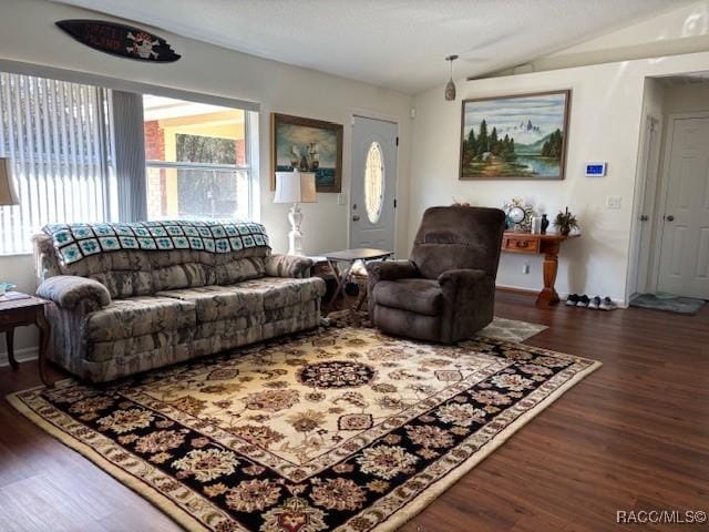 living room featuring lofted ceiling and dark hardwood / wood-style flooring