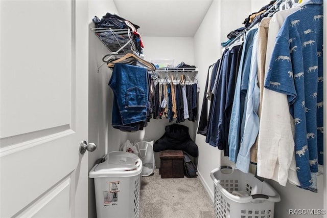457 W Fairways View Dr, Beverly Hills, FL 34465 - spacious closet with carpet