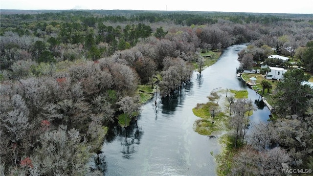 drone / aerial view with a forest view and a water view