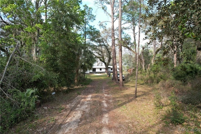 view of yard featuring dirt driveway