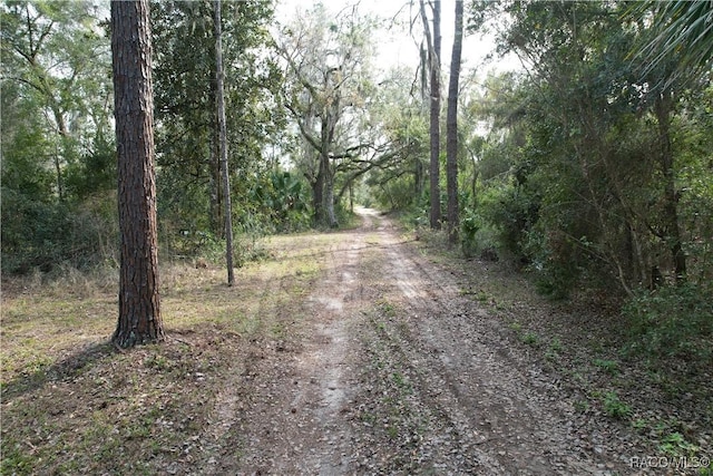 view of street with a forest view