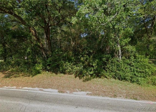 3366 S Apopka Ave, Inverness, FL 34452