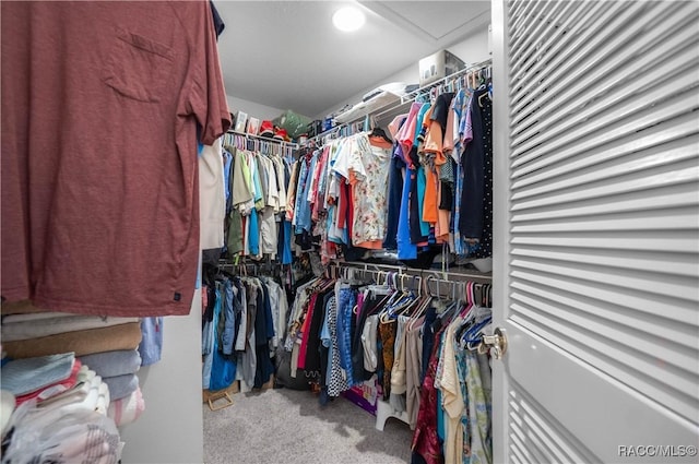 spacious closet featuring carpet floors