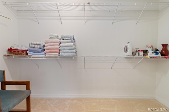 spacious closet featuring carpet floors