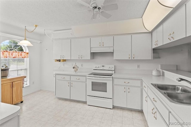 824 Lanark Dr, Inverness, FL 34453 - photo 4