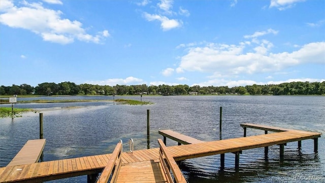 824 Lanark Dr, Inverness, FL 34453 - photo 45