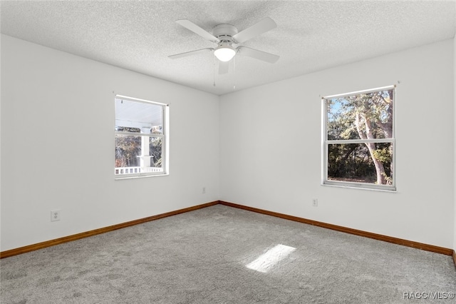 spare room featuring carpet flooring, a textured ceiling, and a wealth of natural light