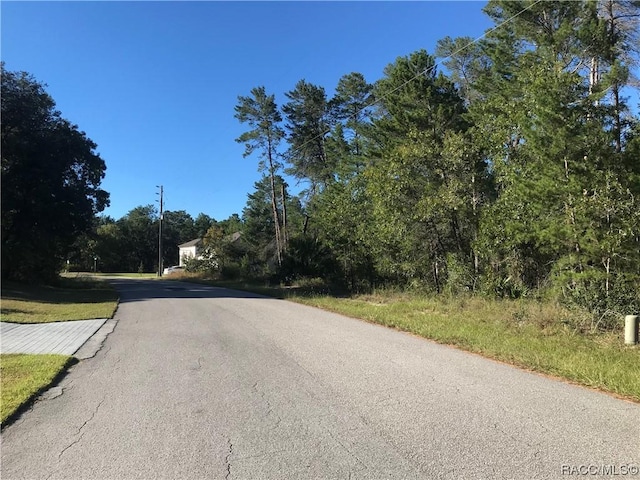 16 Saintpaulia St, Homosassa, FL 34446 - photo 5