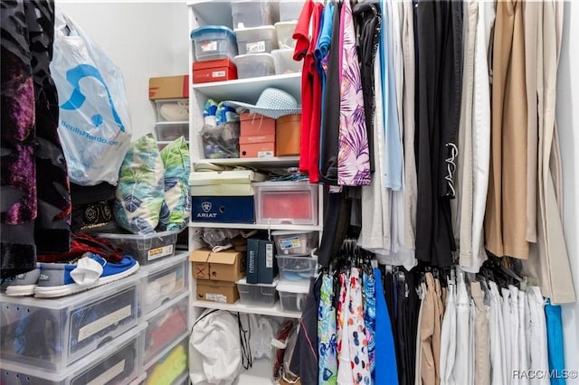 view of spacious closet