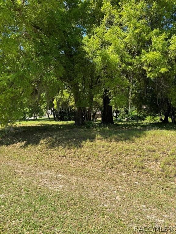0 Oak Pointe Dr, Lady Lake, FL 32159 - photo 9