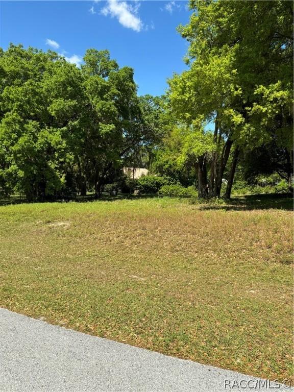 0 Oak Pointe Dr, Lady Lake, FL 32159 - photo 6