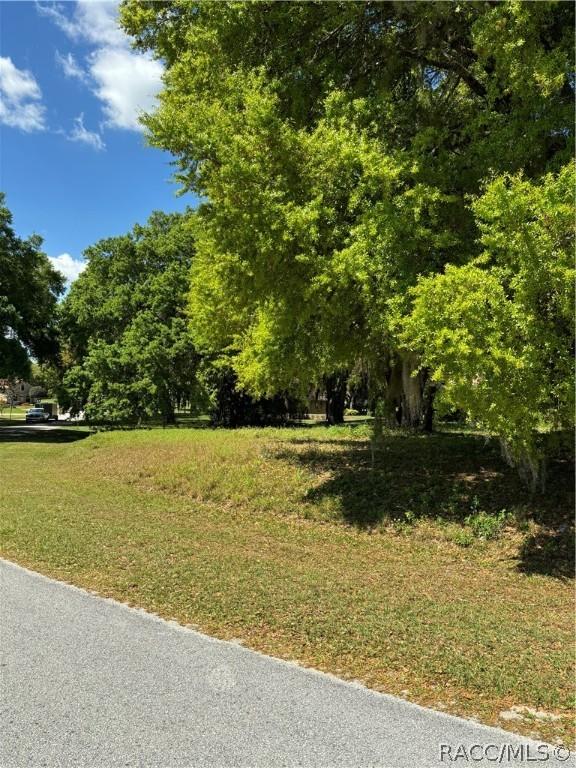 0 Oak Pointe Dr, Lady Lake, FL 32159 - photo 8